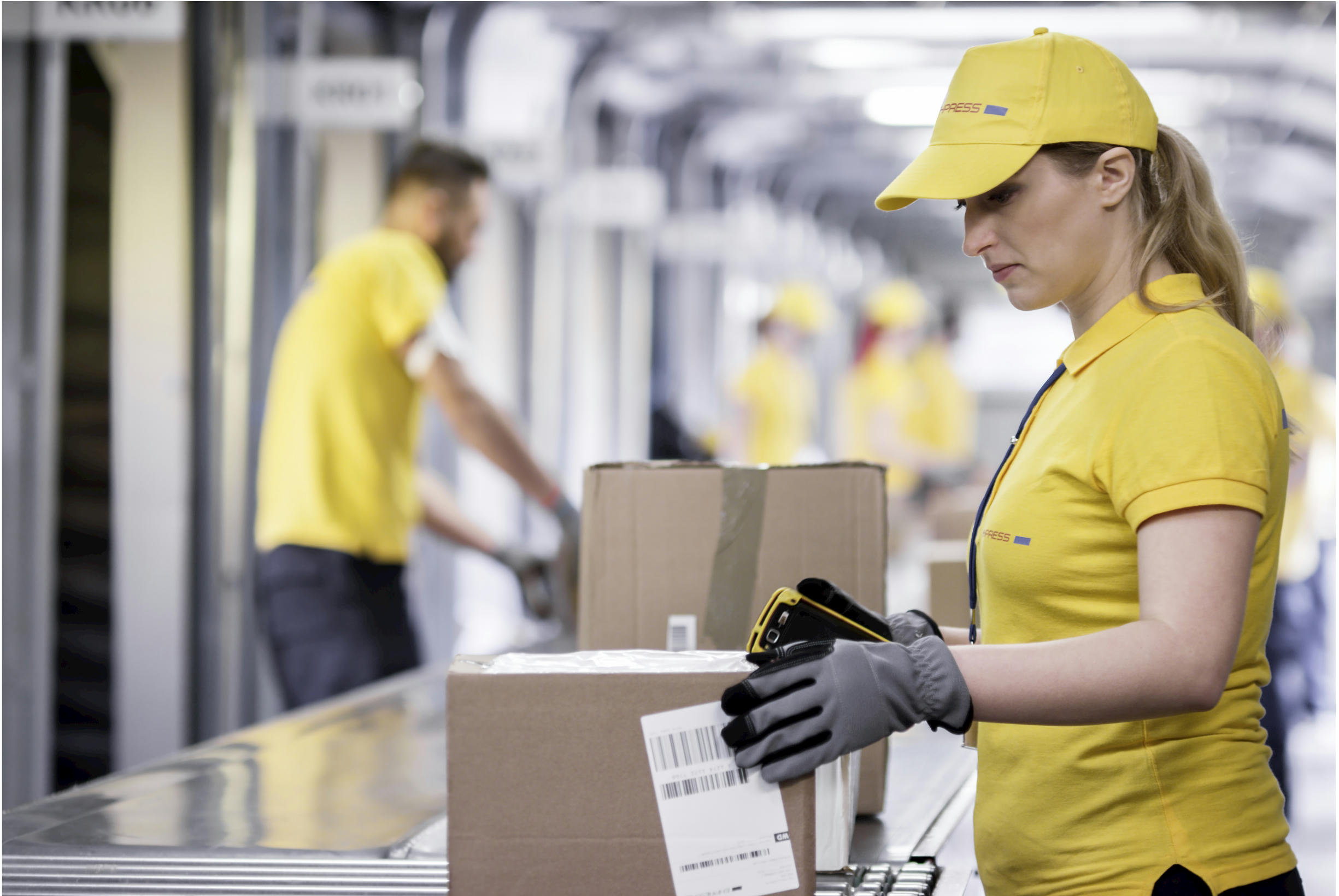 Elksourcing：Inspection by Yourself vs. a Professional Inspector