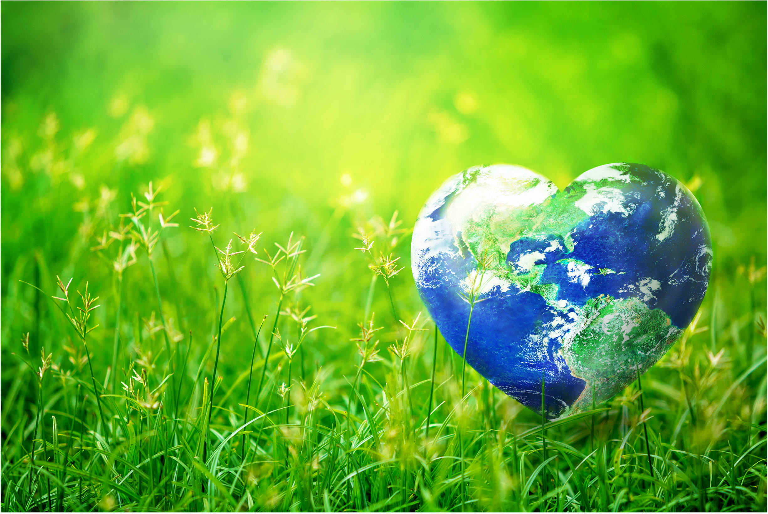 Elksourcing：Factors to Consider While Sourcing Products Globally