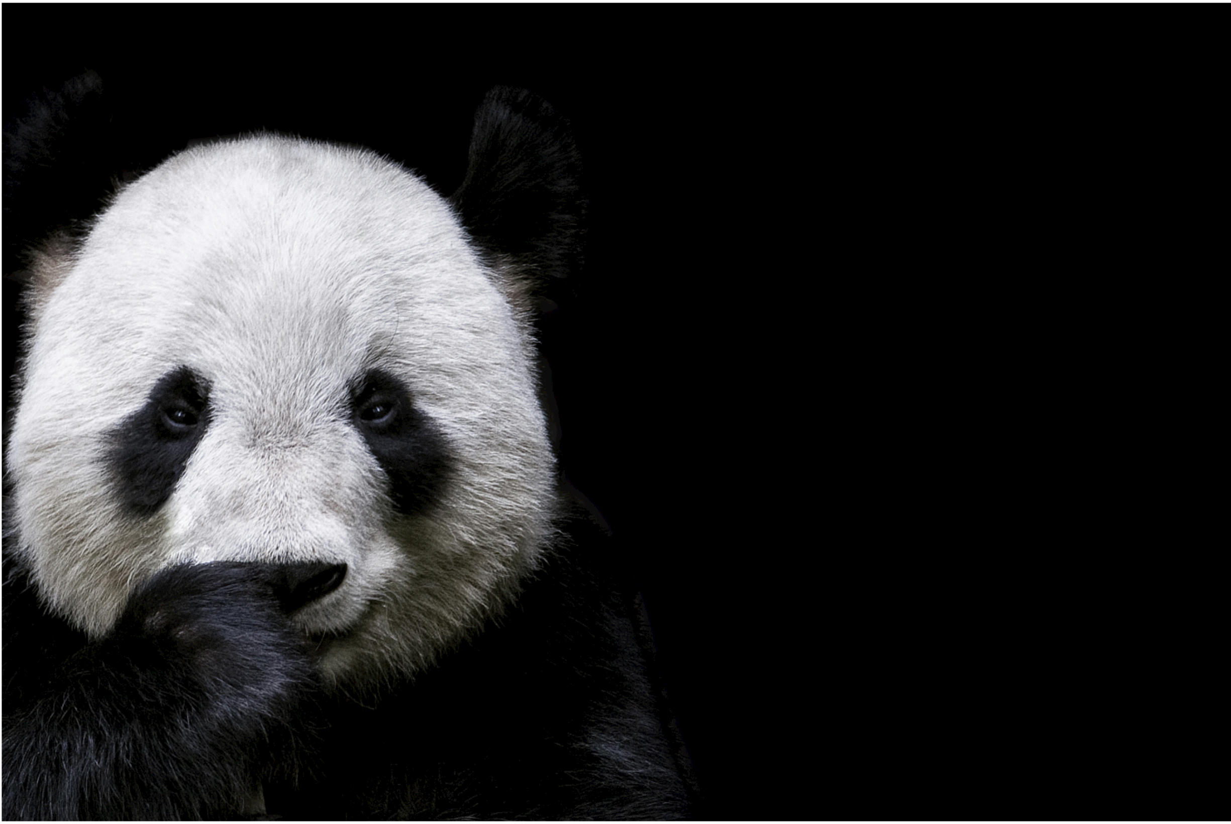 Elksourcing：Step to Step Guidance to Importing Products from China