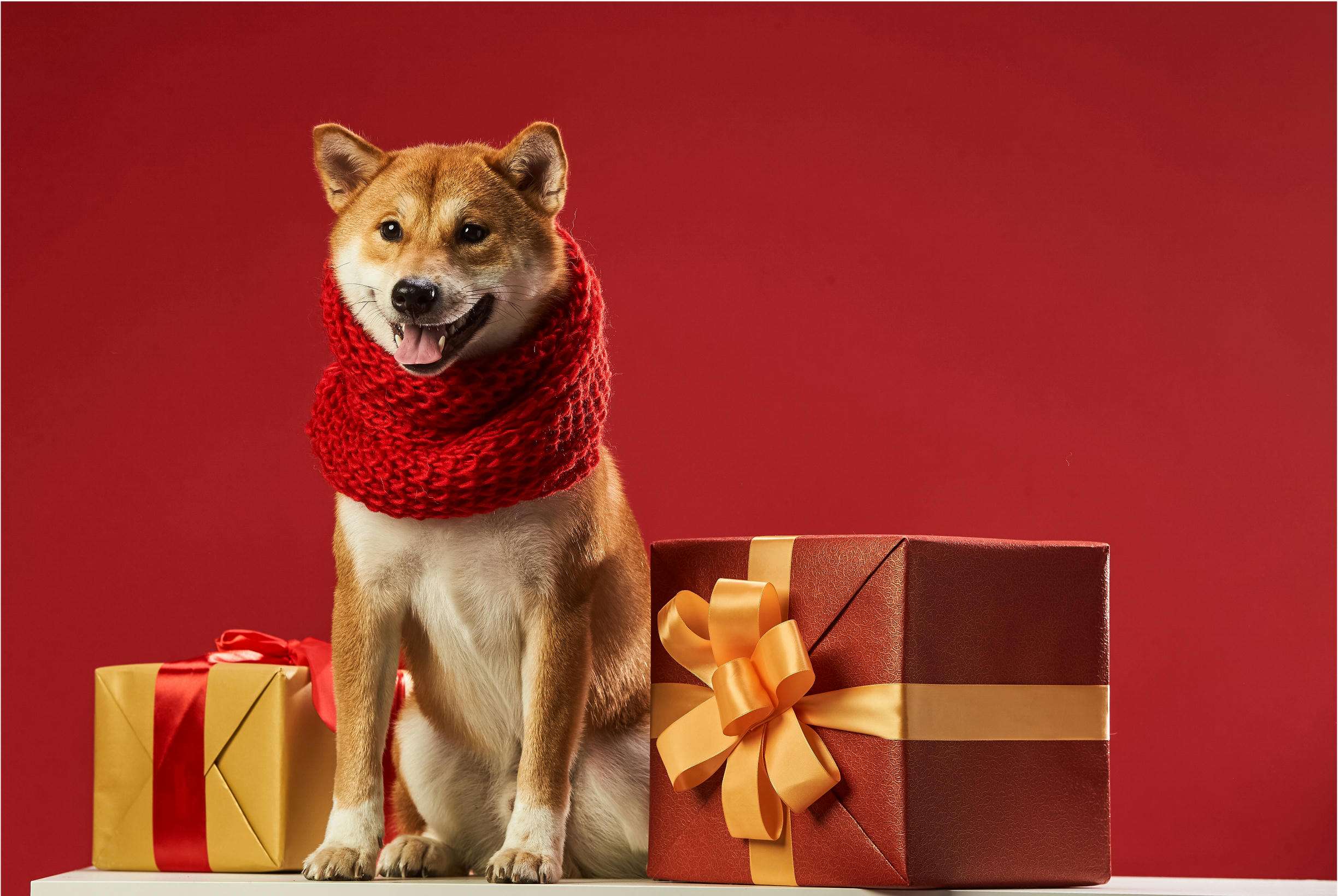 Elksourcing：Buy High-Quality Low-Price Products from China, Is It Possible?