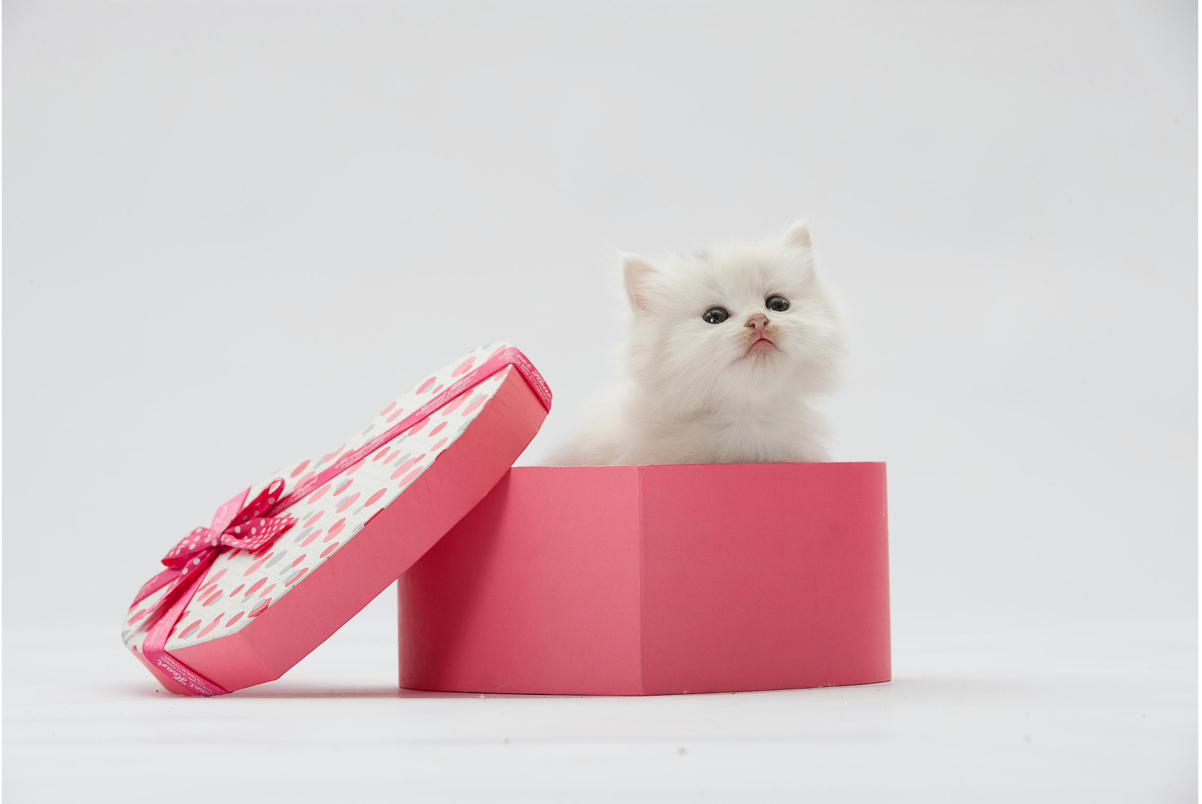Elksourcing：Essential Tips for New Product Development